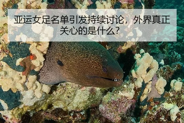 亚运女足名单引发持续讨论，外界真正关心的是什么？